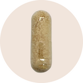 Full Spectrum Korean Red Ginseng Root
